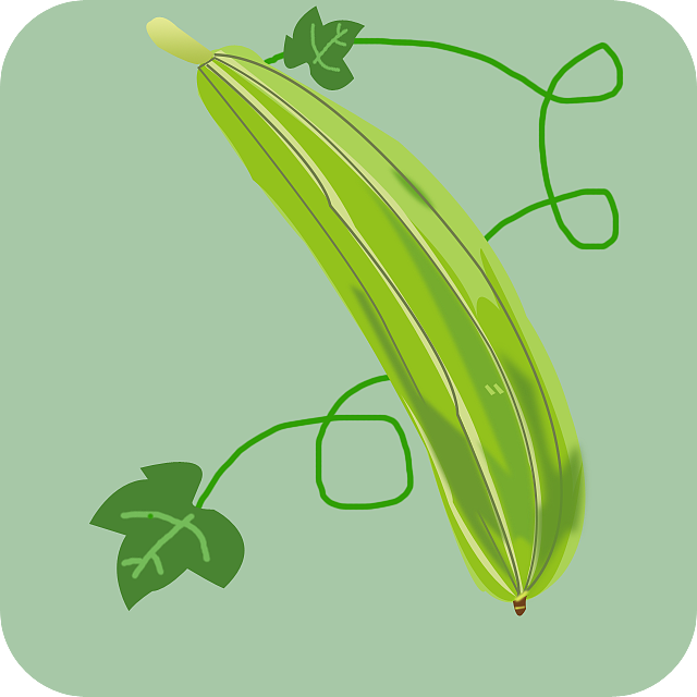 蔬菜图标（图ZNjQyODA1OTI=） - 图标 - 站酷设计师先勤Nicole原创素材 - 站酷ZCOOL