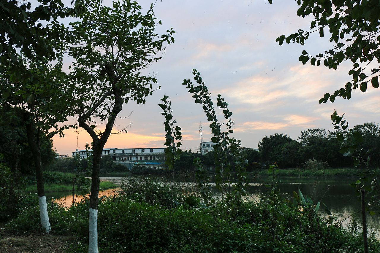 【海珠湖】（图ZNzEzNDA2MzY=） - 风光摄影 - 站酷设计师LK_CC原创素材 - 站酷ZCOOL