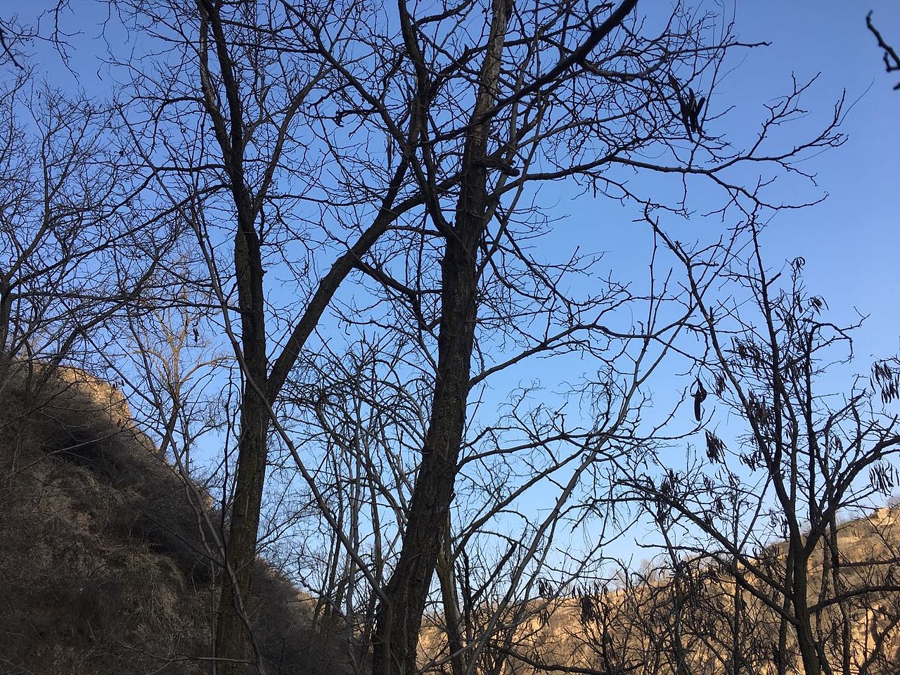 冬日山景 ——撿漏大自然（圖ZMjI1MjIyMDEy） - 人文/紀(jì)實攝影 - 站酷設(shè)計師半斤云原創(chuàng)素材 - 站酷ZCOOL