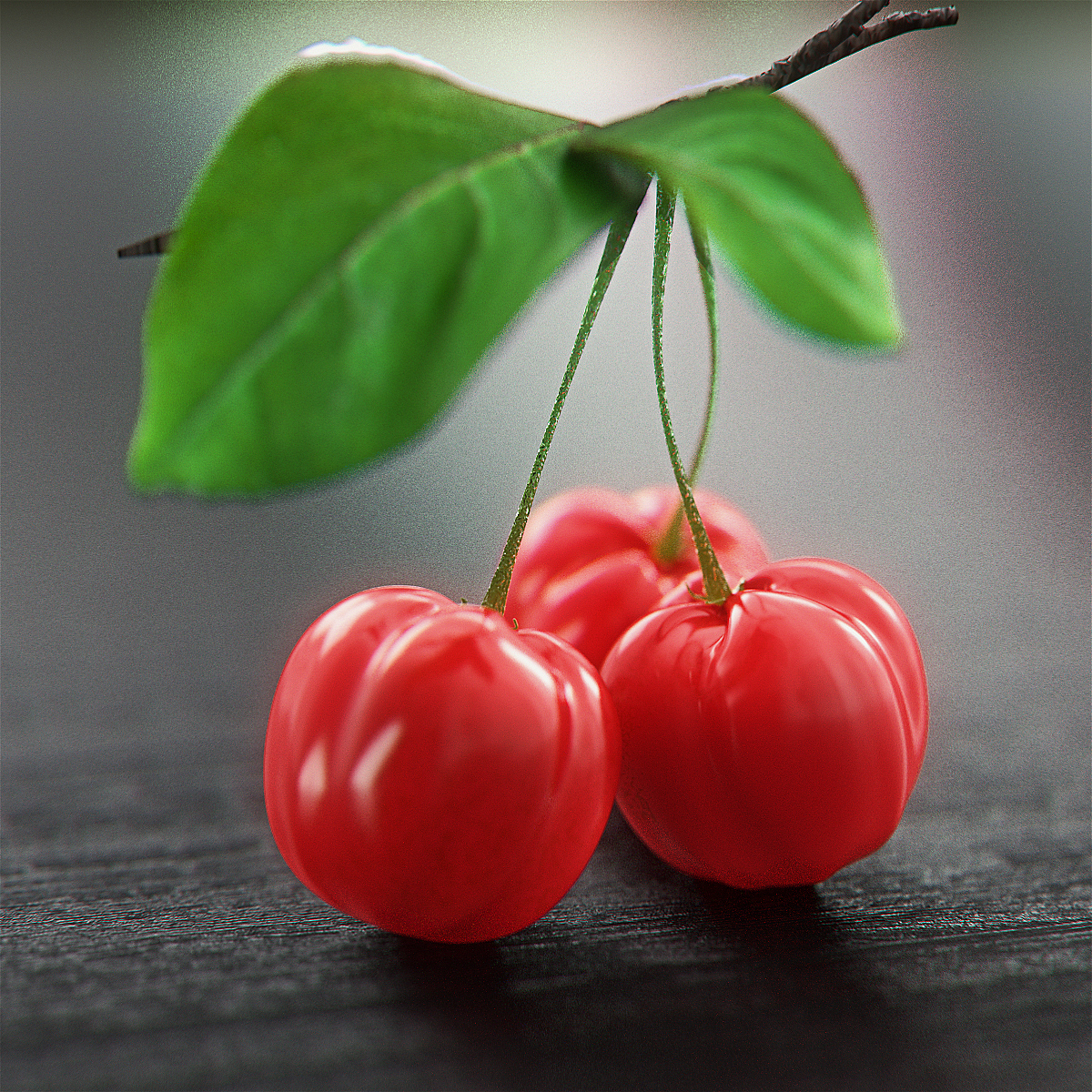 06302018针叶樱桃wip