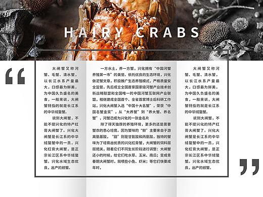 大闸蟹三折页设计