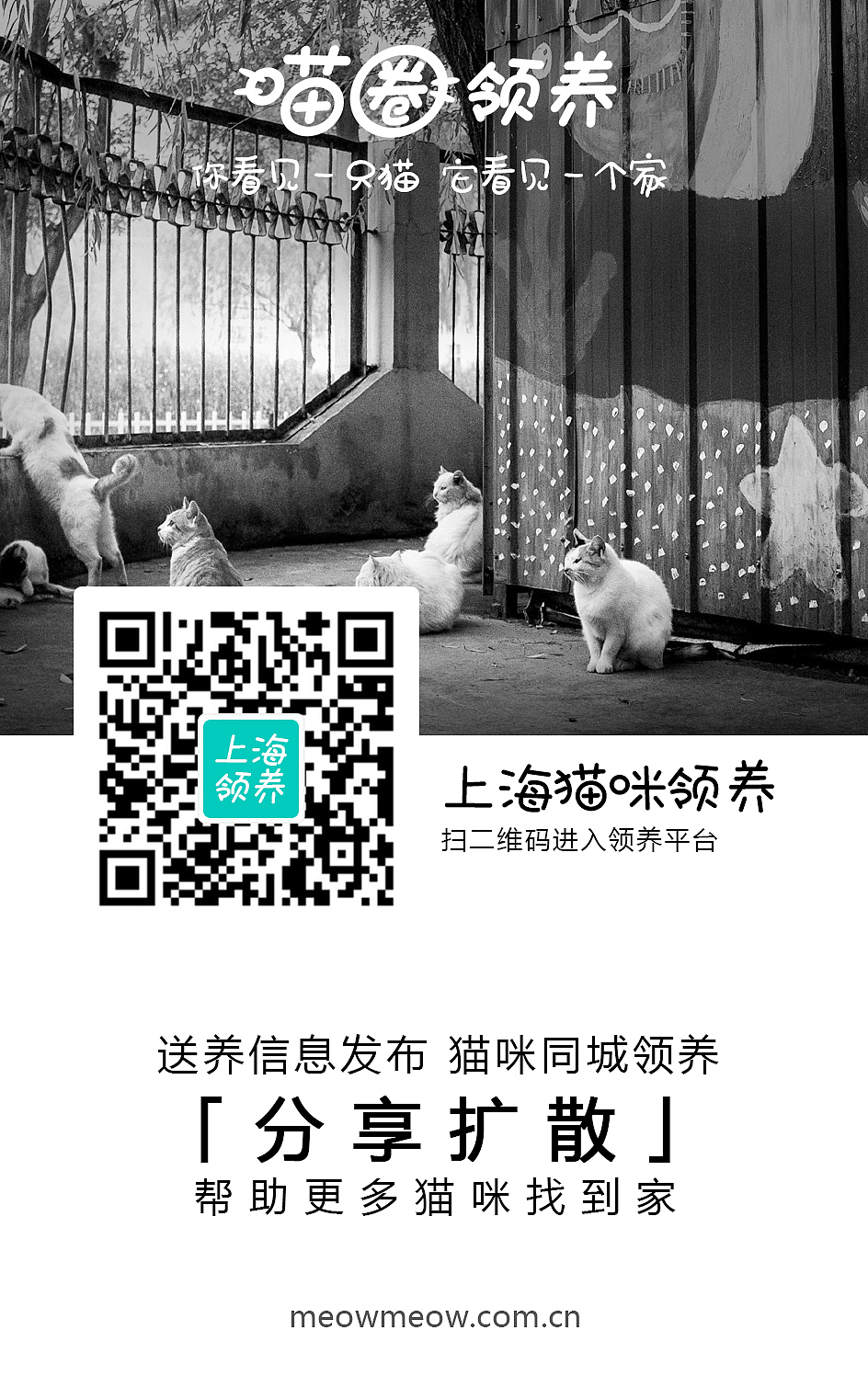 喵圈领养-各城市领养小组上线海报（图ZMTQxNDMzMDI0） - 海报 - 站酷设计师带风007原创素材 - 站酷ZCOOL