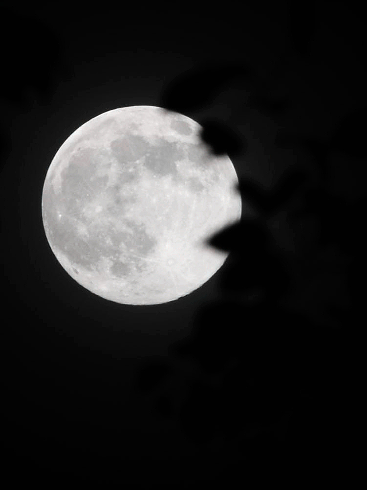 望月（圖ZMTg3MzM0OTI=） - 風(fēng)光攝影 - 站酷設(shè)計(jì)師kl525原創(chuàng)素材 - 站酷ZCOOL