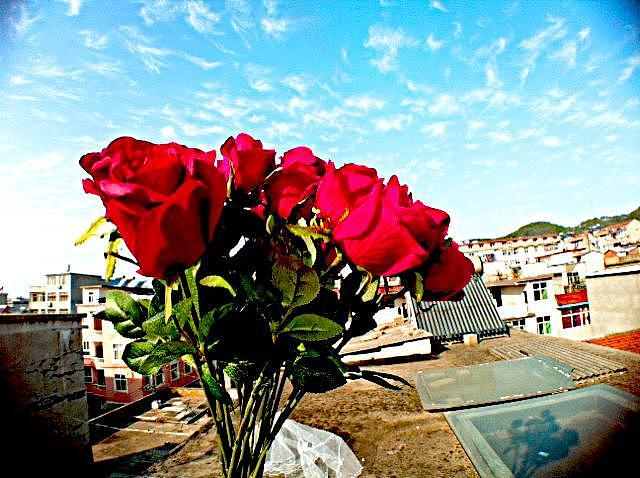 个人p（图ZNDg4OTA3NDA=） - 风光摄影 - 站酷设计师爱你的章鱼哥原创素材 - 站酷ZCOOL