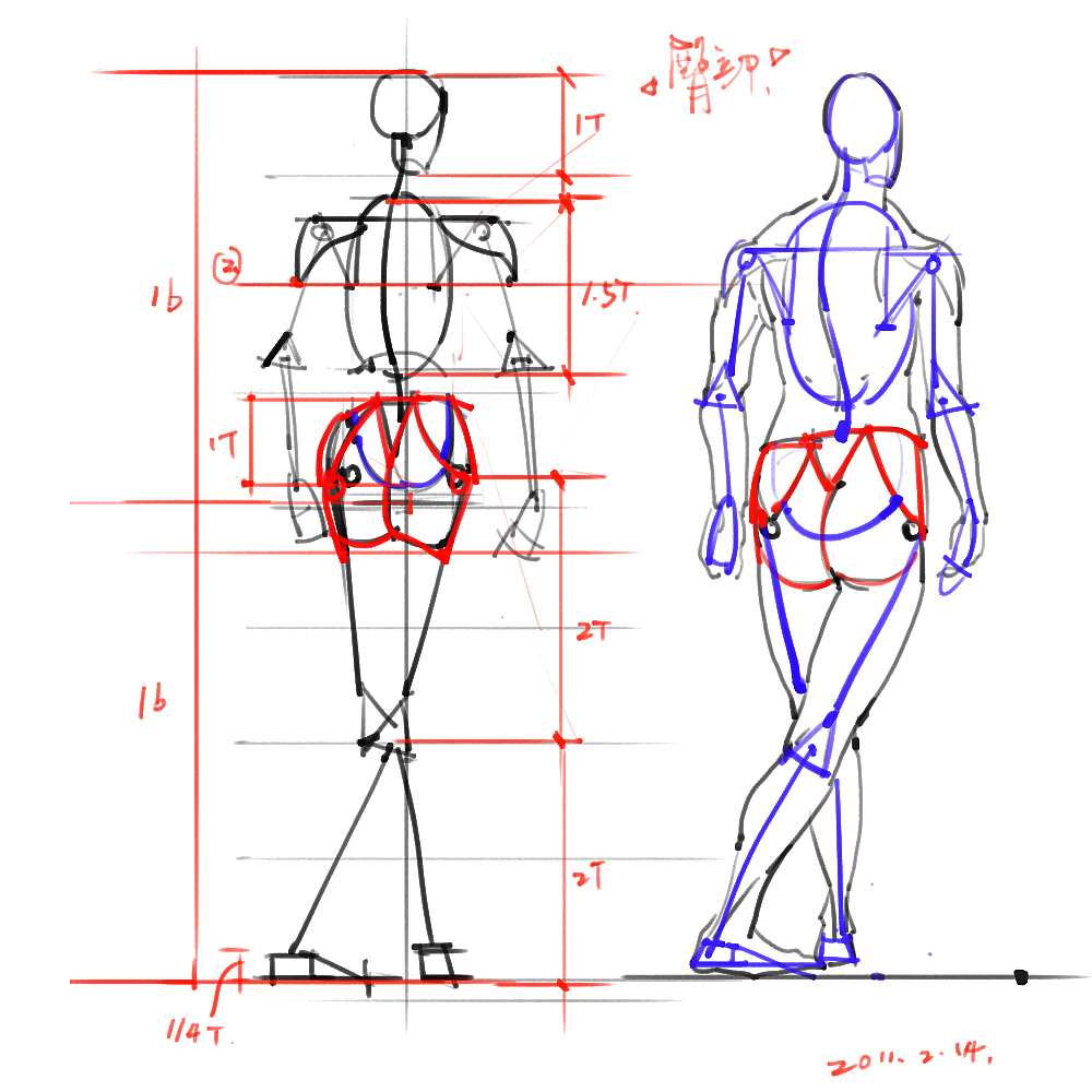 「素材」分享一波绘画专用人体解剖素材 part 02