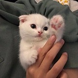 Soul_L的头像