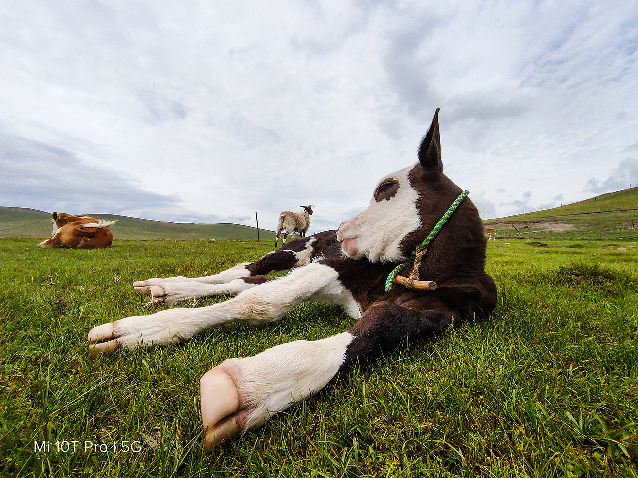小米国际版 MI 10T PRO 官方样片拍摄