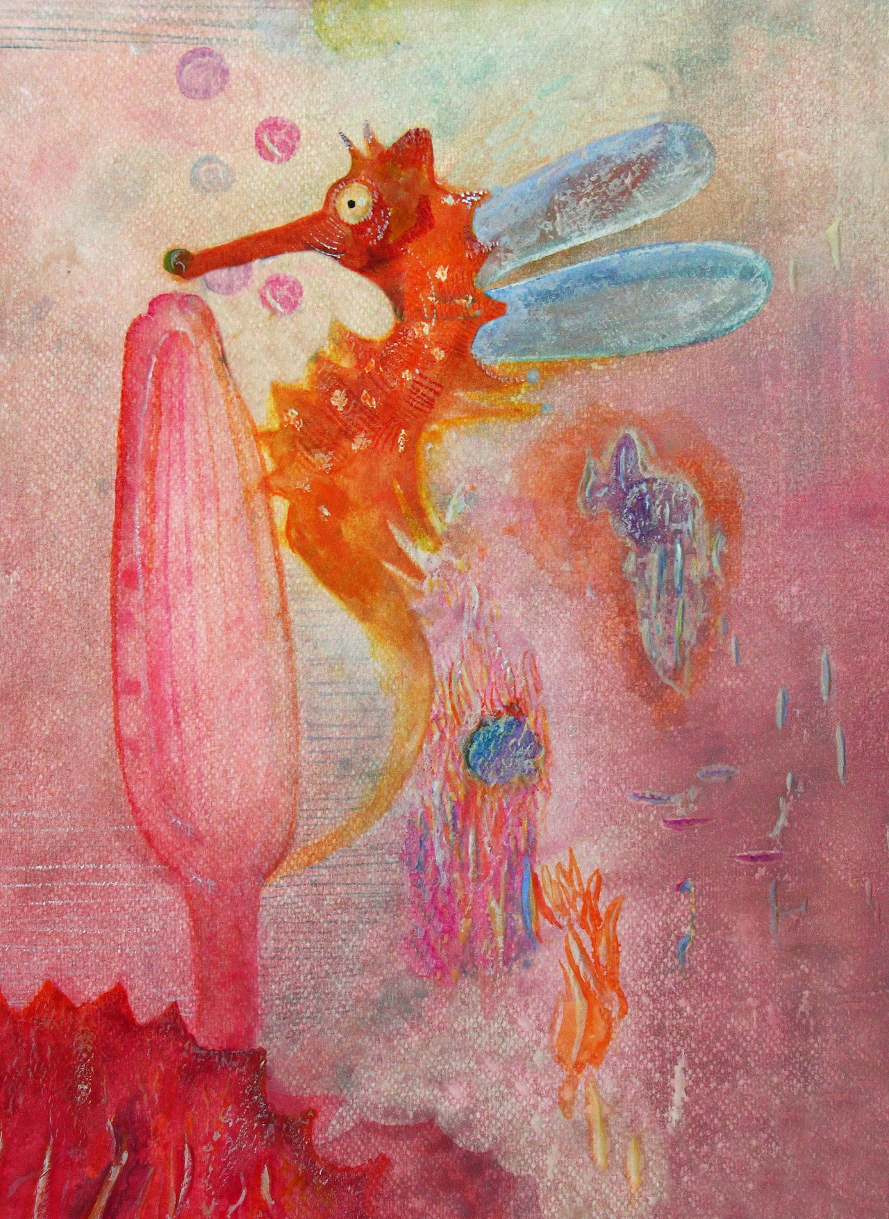 《神奇的海洋世界》我是一个长着翅膀的小海马,我喜欢亲吻海花