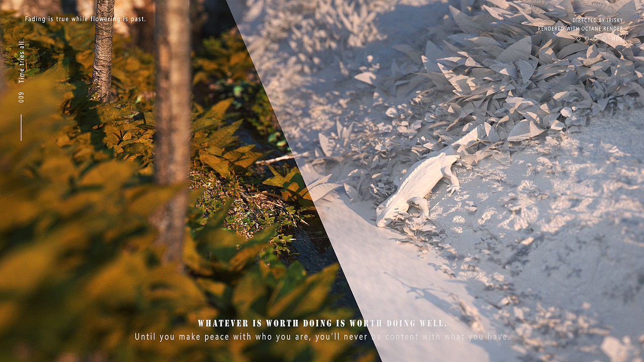 野外·瞬间 | WILD·MOMENT（图ZMjc4MzI0NDg0） - 场景 - 站酷设计师IRISky原创素材 - 站酷ZCOOL