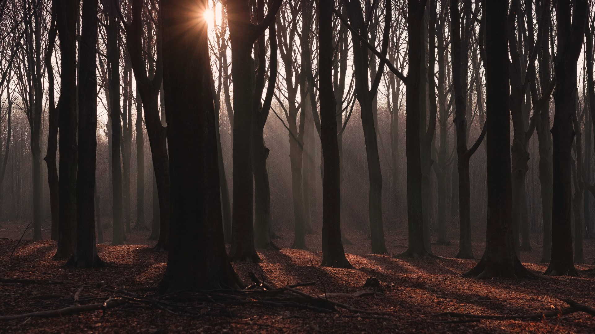 发莓菌的个人主页（封面预览） - 主页封面设置 - 站酷设计师发莓菌原创素材 - 站酷ZCOOL