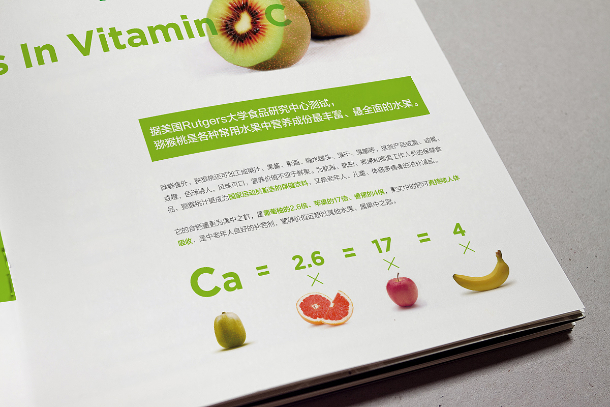 长丰实业画册（图ZMzI4MzQwOTI=） - 书籍/画册 - 站酷设计师前言设计工作室原创素材 - 站酷ZCOOL