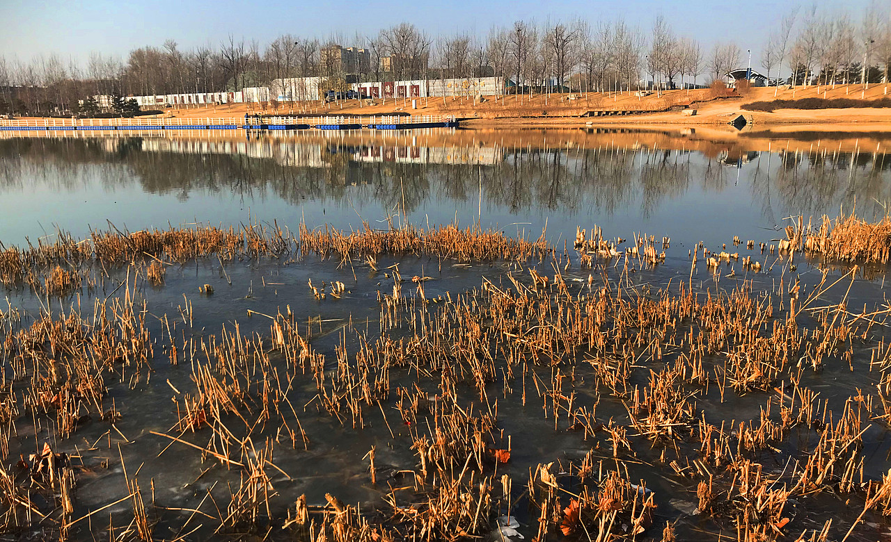 刘勇良纪实手机摄影:静静的小河