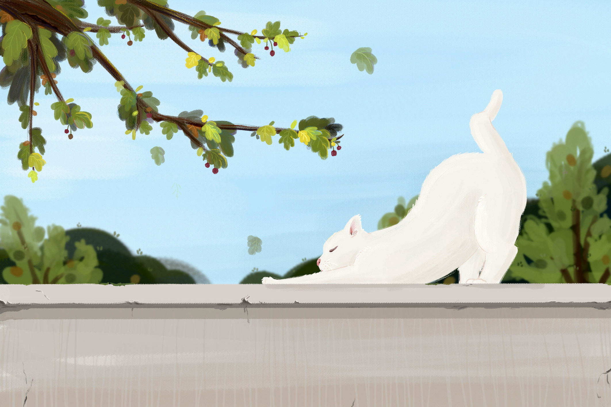 围墙上的喵咪|插画|其他插画|樱仔_ - 原创作品 - 站酷 (zcool)