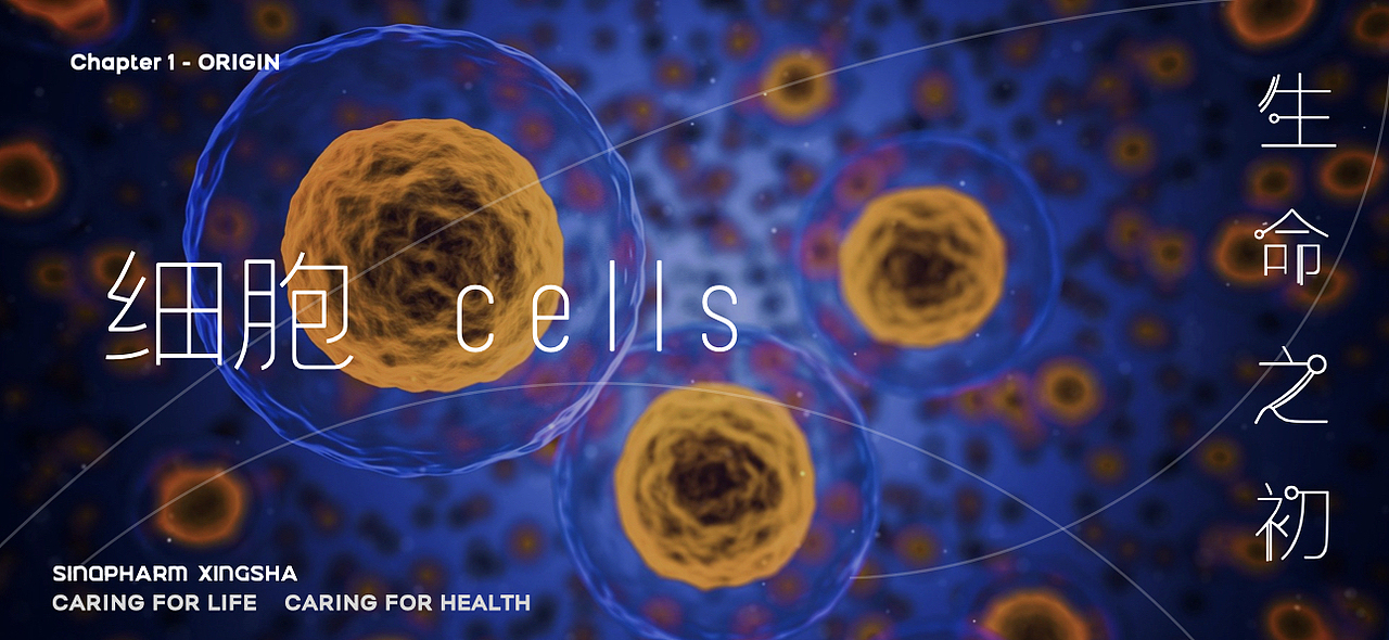 国控星鲨全新品牌标志与 70周年徽标设计（图ZMjk2NDMyOTQ4） - Logo - 站酷设计师luckywinn原创素材 - 站酷ZCOOL