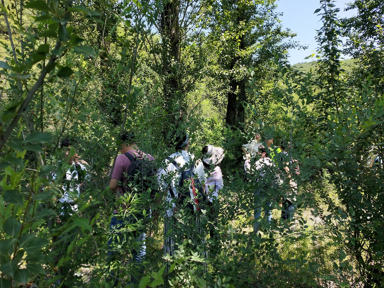 翠鸟谷一日丛林穿越