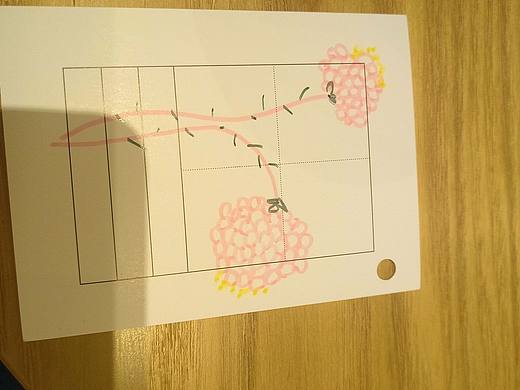 画画🎨的花🌸段