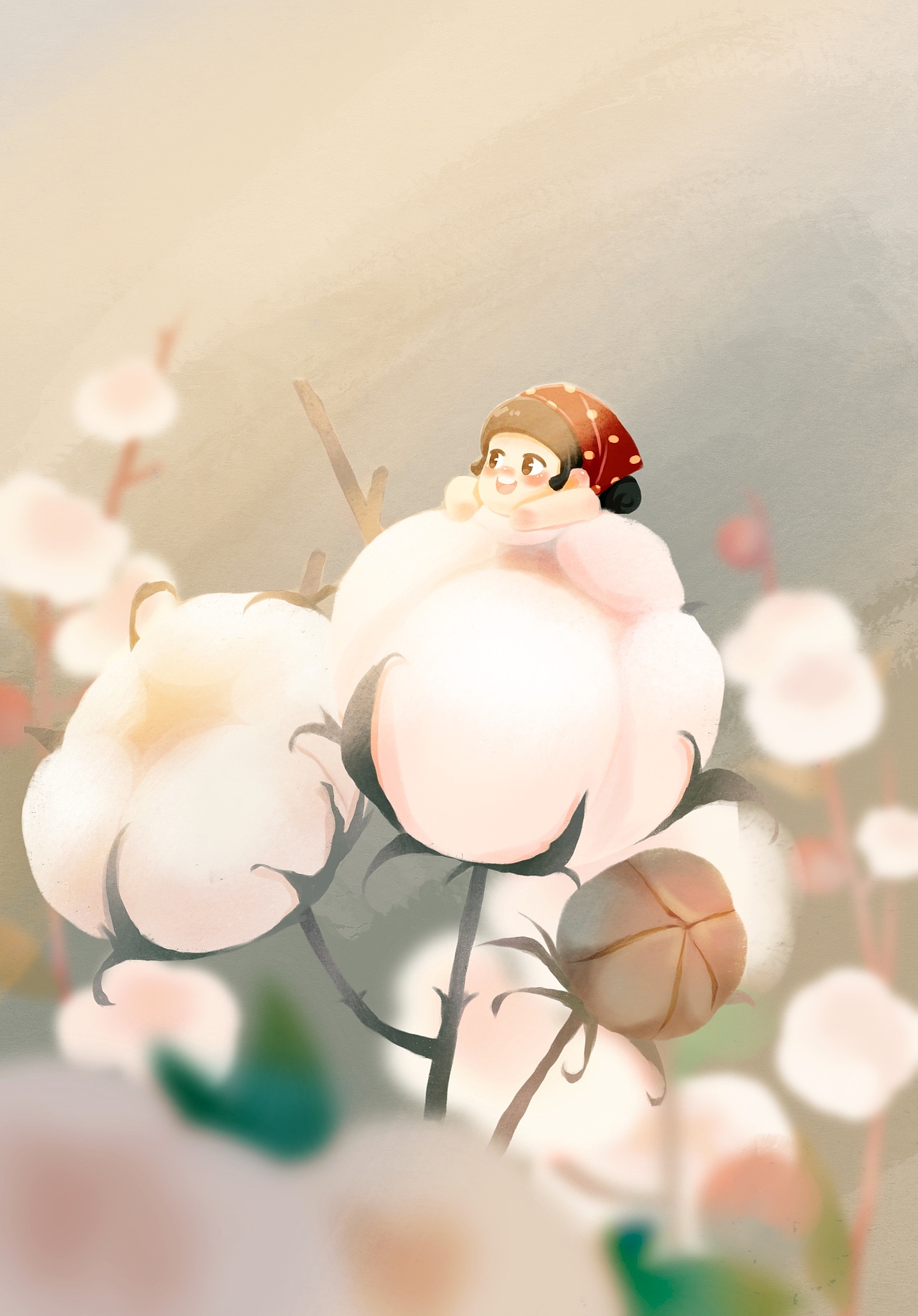 插画棉花花语
