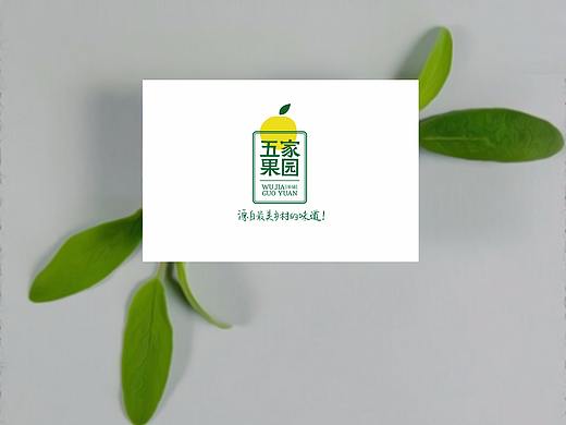 五家果园 VI设计