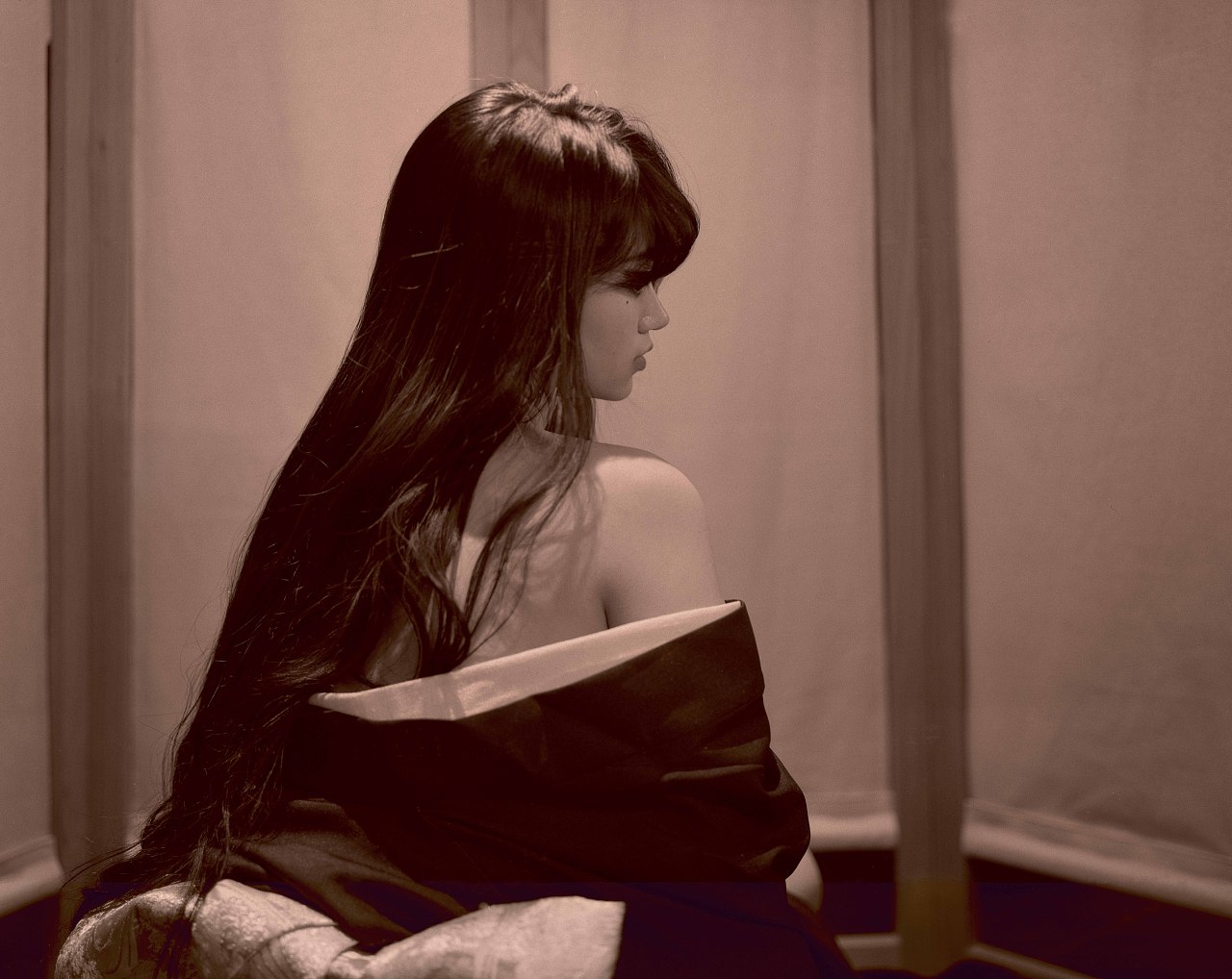 蛋白接触印相工艺摄影