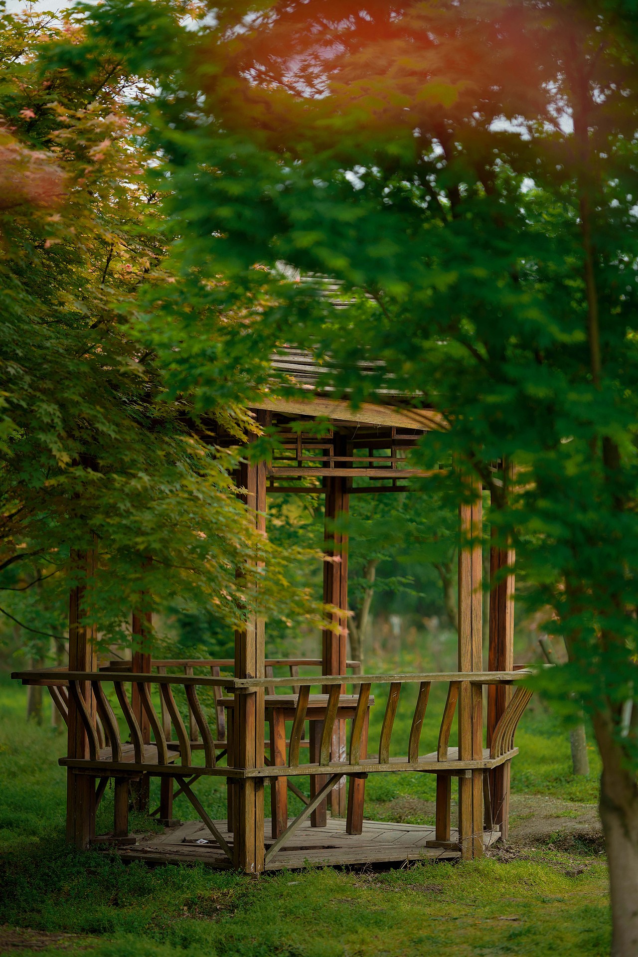 成都周末时光（图ZMjUwNDEwODk2） - 人像摄影 - 站酷设计师鱼游梦境原创素材 - 站酷ZCOOL