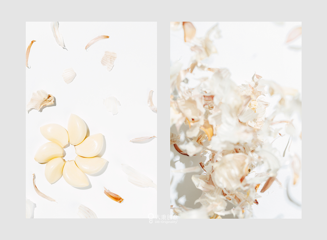 「Summer flower」· 夏花（图ZNzkxMjk4ODQ=） - 产品摄影 - 站酷设计师大秉创意原创素材 - 站酷ZCOOL