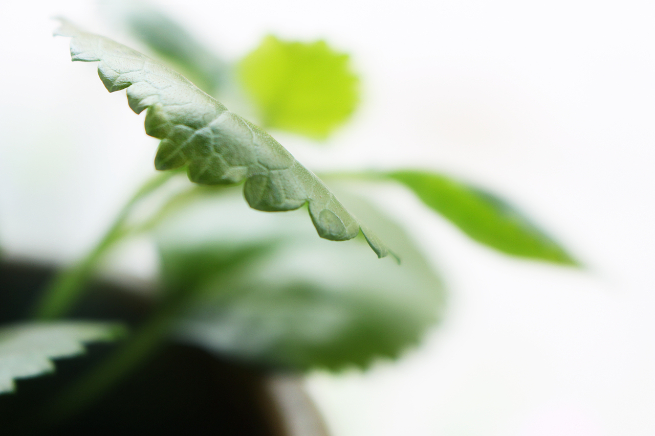 少年时,踌躇满志。