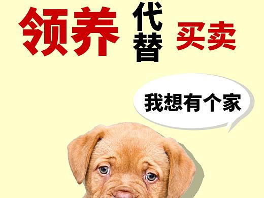 流浪狗领养海报（个人主页-ZNjA4NzgzNzY=） - 其他平面 - 站酷设计师阿灼Zzz原创素材 - 站酷ZCOOL