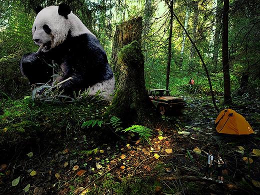 ps简单合成练习