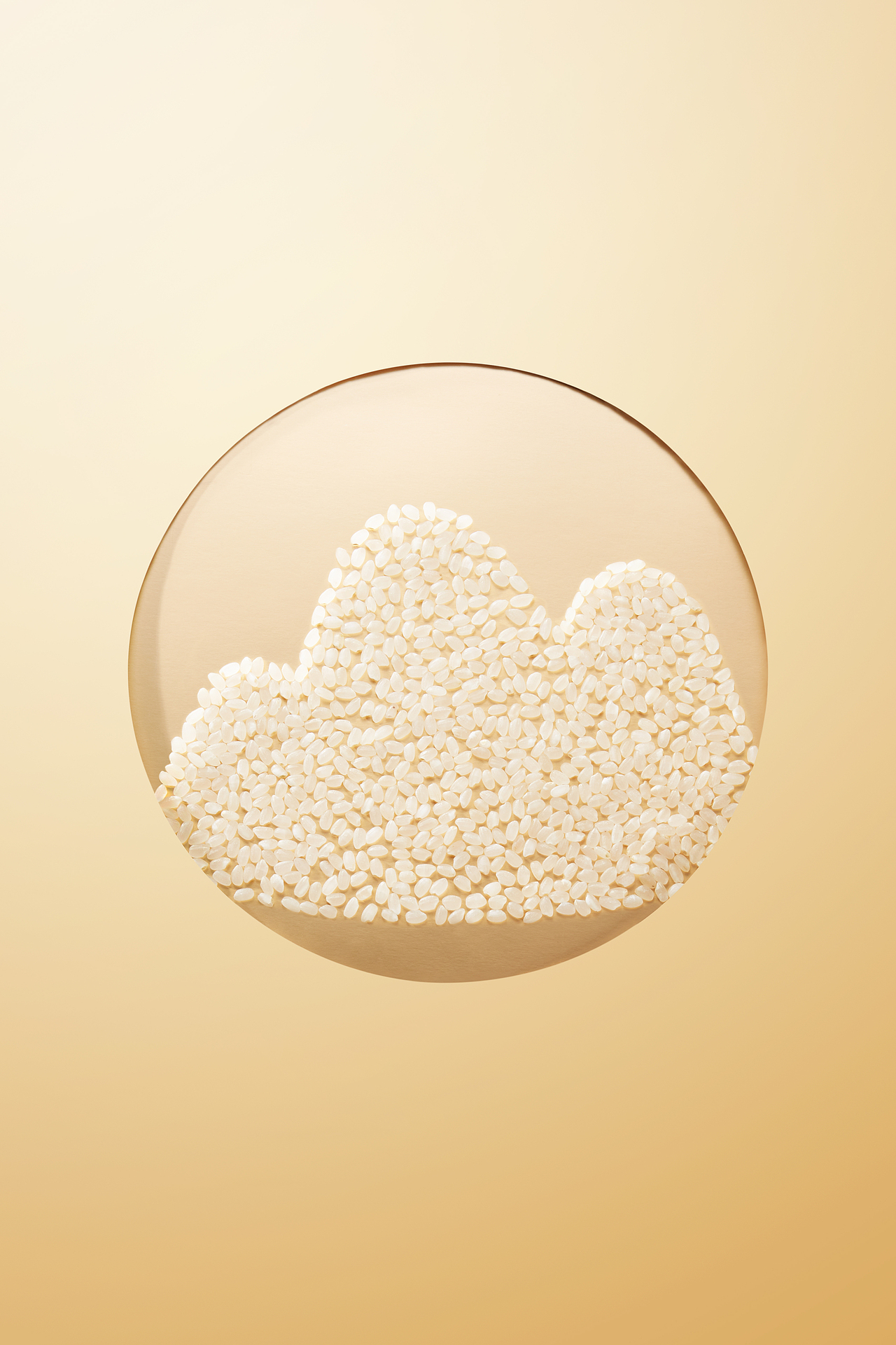 食物摄影 | 微观小人 应物白大米拍摄