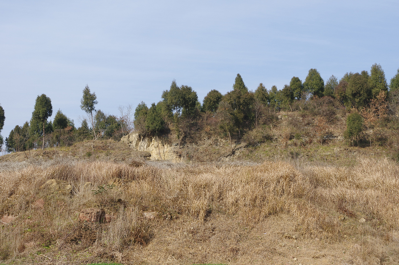 手机图片修图（图ZMTExMzM0MjA0） - 人文/纪实摄影 - 站酷设计师姗大爷的魔法盒原创素材 - 站酷ZCOOL