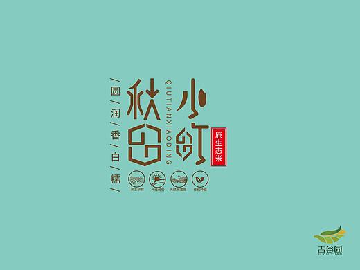 VI字体设计及包装应用