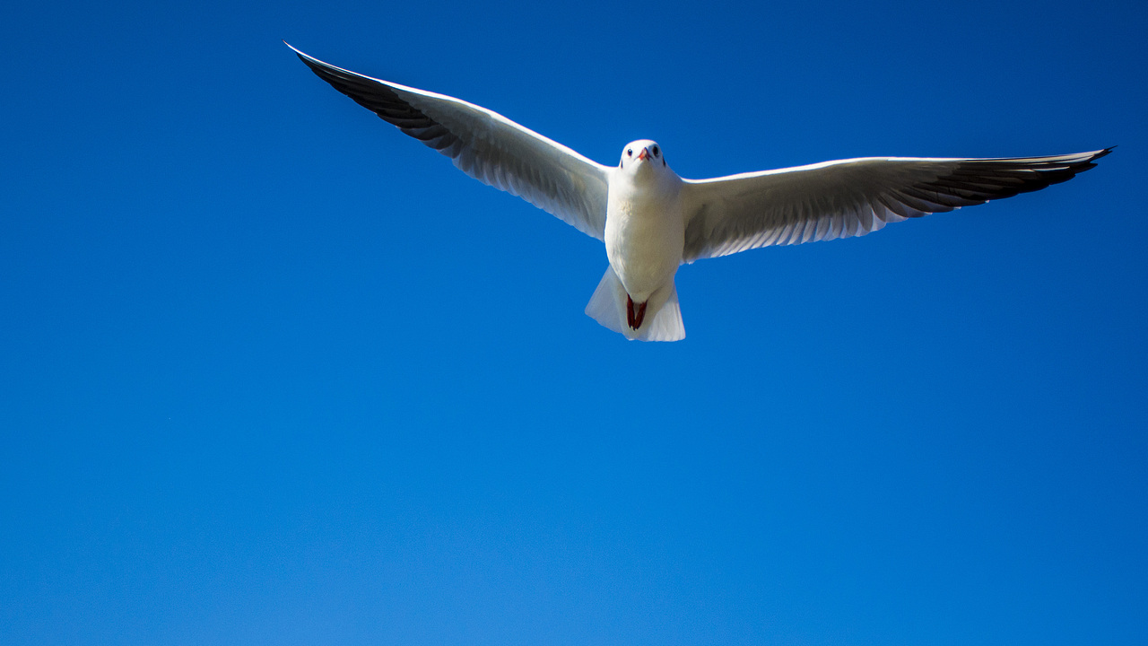 调皮又可爱的小家伙