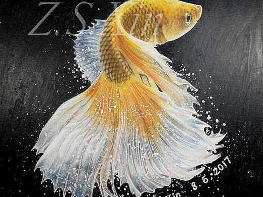 【Z.S.Xin彩铅手绘】一些老作品