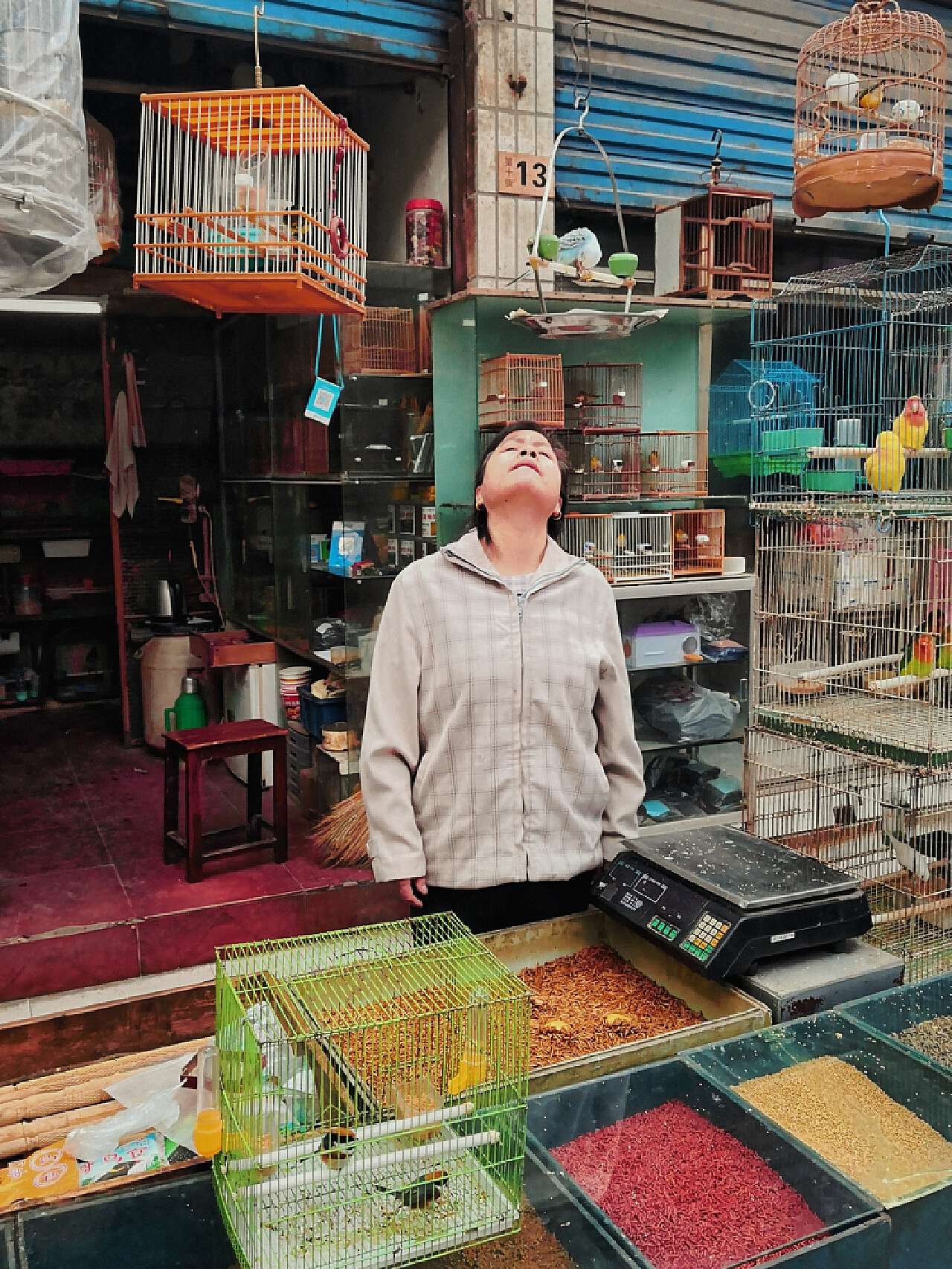 吉林市一男子在集市上非法卖鸟，被发现还试图逃跑__凤凰网