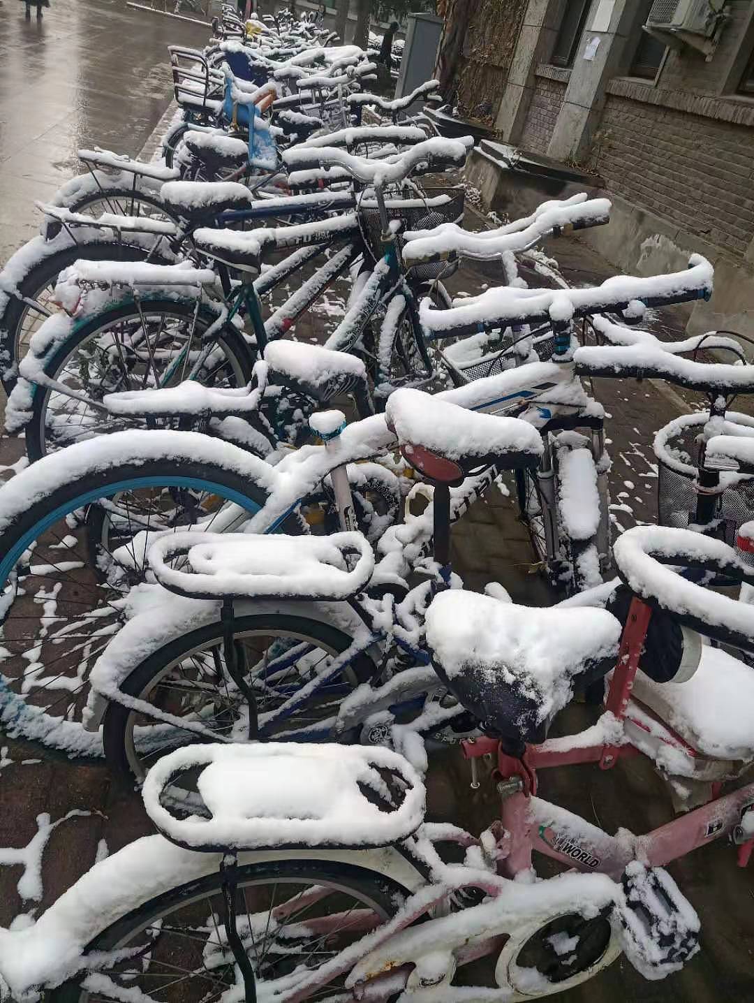 北京的初雪（图ZMTg3MzYzMzc2） - 风光摄影 - 站酷设计师共赏繁华原创素材 - 站酷ZCOOL