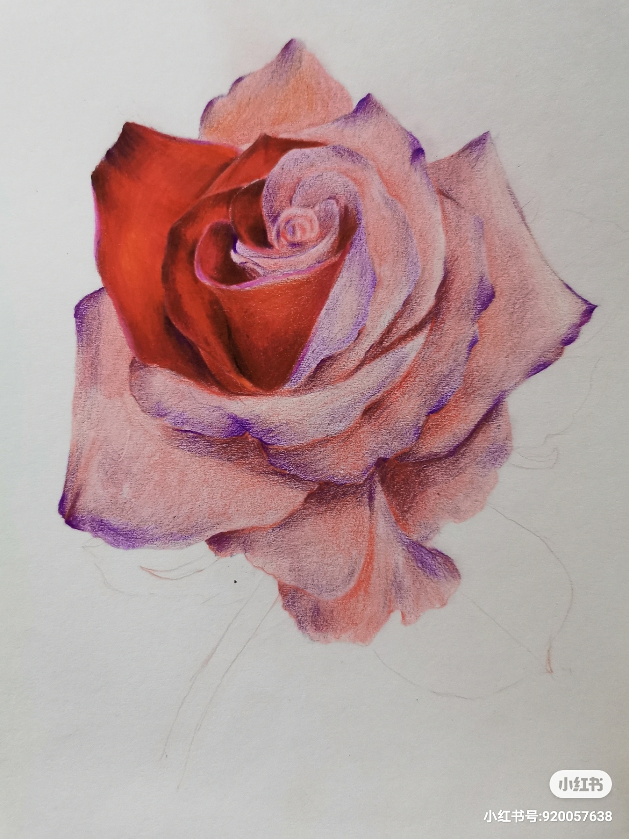 布衣唐彩铅-玫瑰花