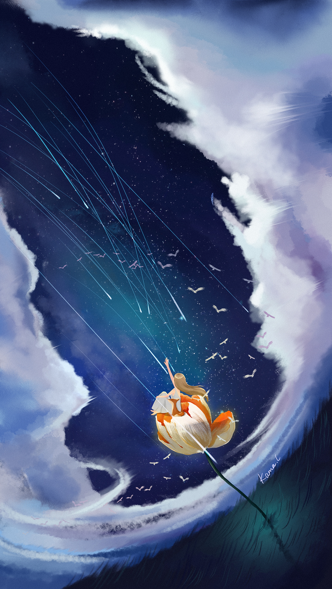 星河照亮的花（图ZMjY2ODYwNjQw） - 概念设定 - 站酷设计师脏小海原创素材 - 站酷ZCOOL