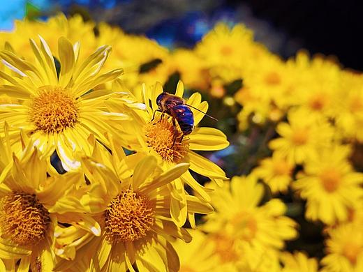 秋冬：生活照（个人主页-ZNjcxMTE1OTI=） - 风光摄影 - 站酷设计师TUBI颗粒子原创素材 - 站酷ZCOOL