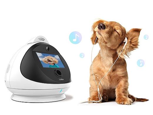 详情页-laibo（个人主页-ZMzI0NDg0NDA=） - 电商 - 站酷设计师阿司匹林马儿原创素材 - 站酷ZCOOL