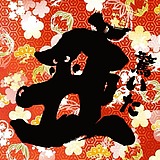 大狮子不会胖的头像