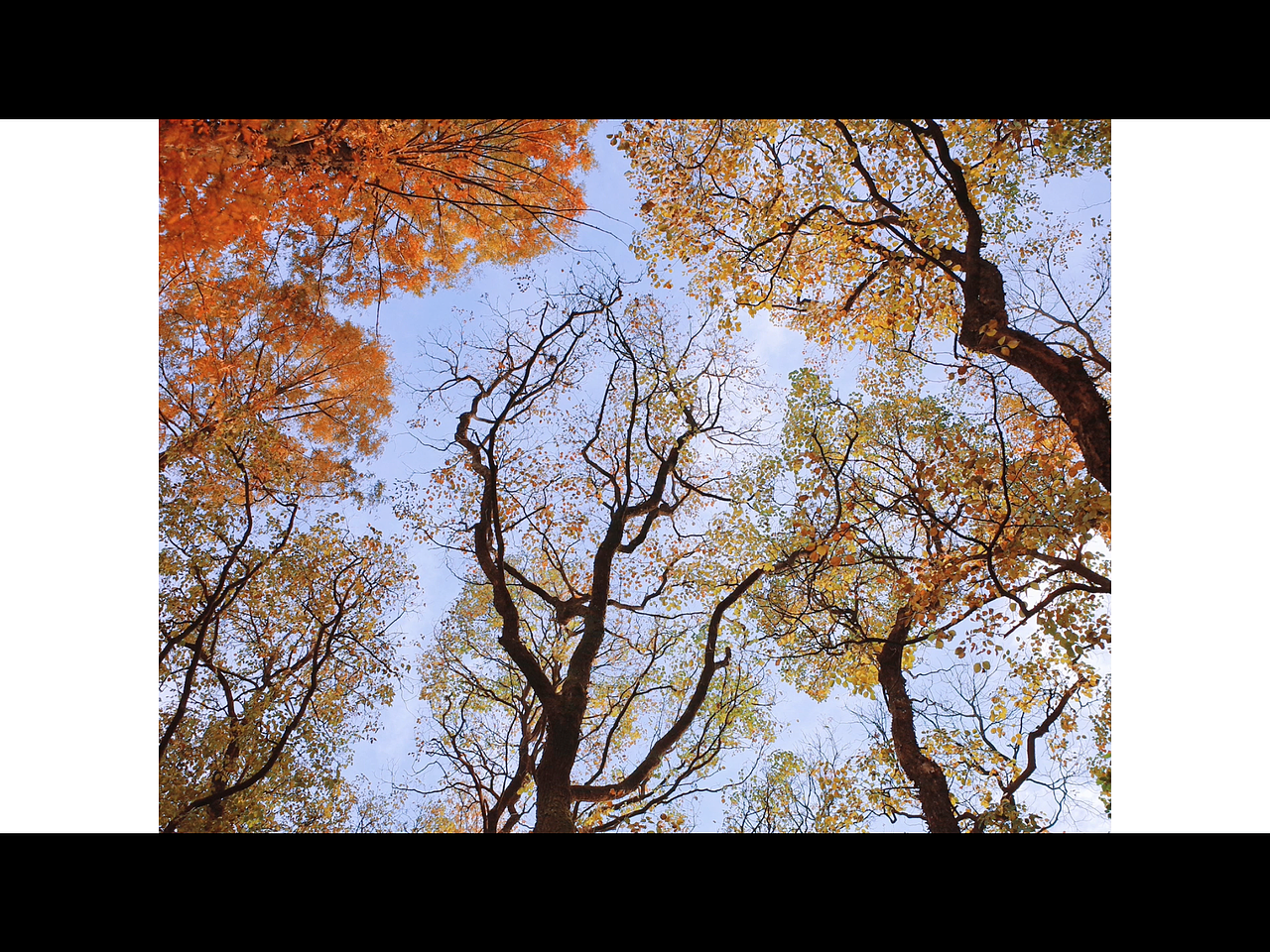 【浮生一梦】2021理光摄影作品总结