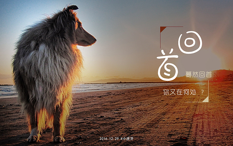 字体练习（图ZNzQyMzczNzI=） - 字体/字形 - 站酷设计师曲径通幽_he原创素材 - 站酷ZCOOL