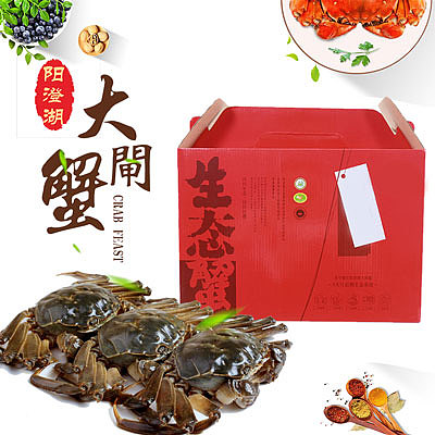 大闸蟹小图