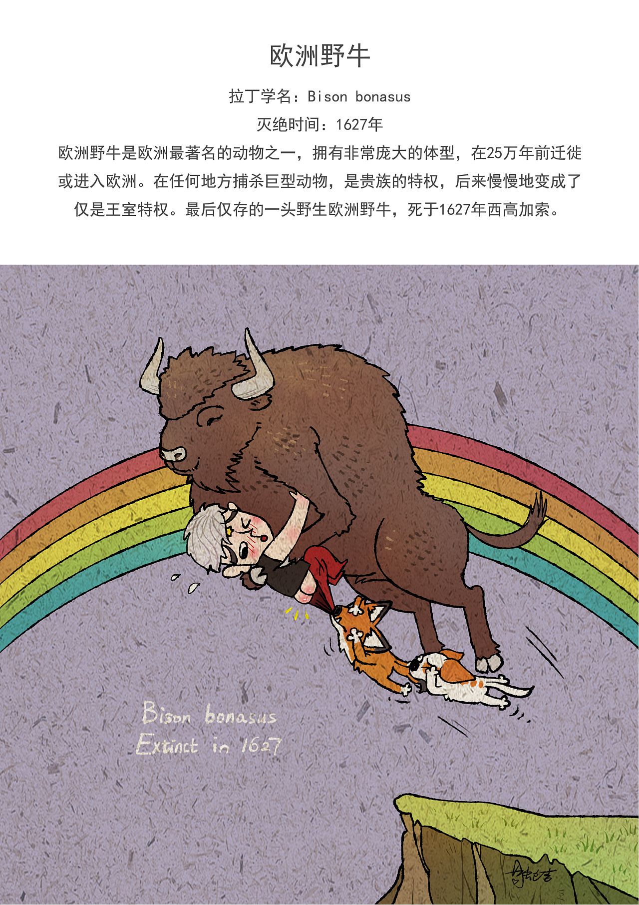 灭绝动物之欧洲野牛