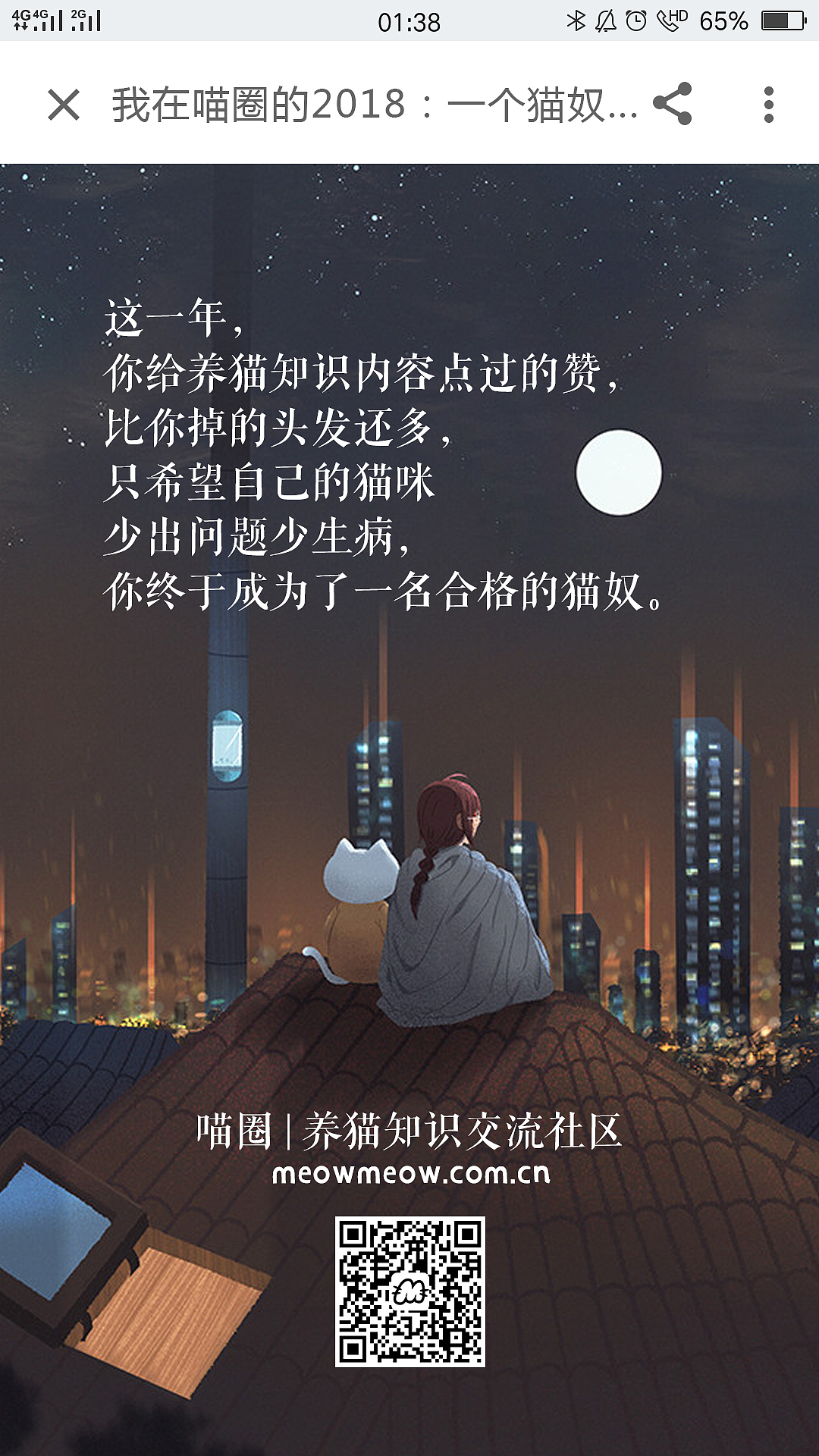 喵圈营销图设计：模拟各大APP2018年终报告（图ZMTQxOTU3NTU2） - 海报 - 站酷设计师带风007原创素材 - 站酷ZCOOL