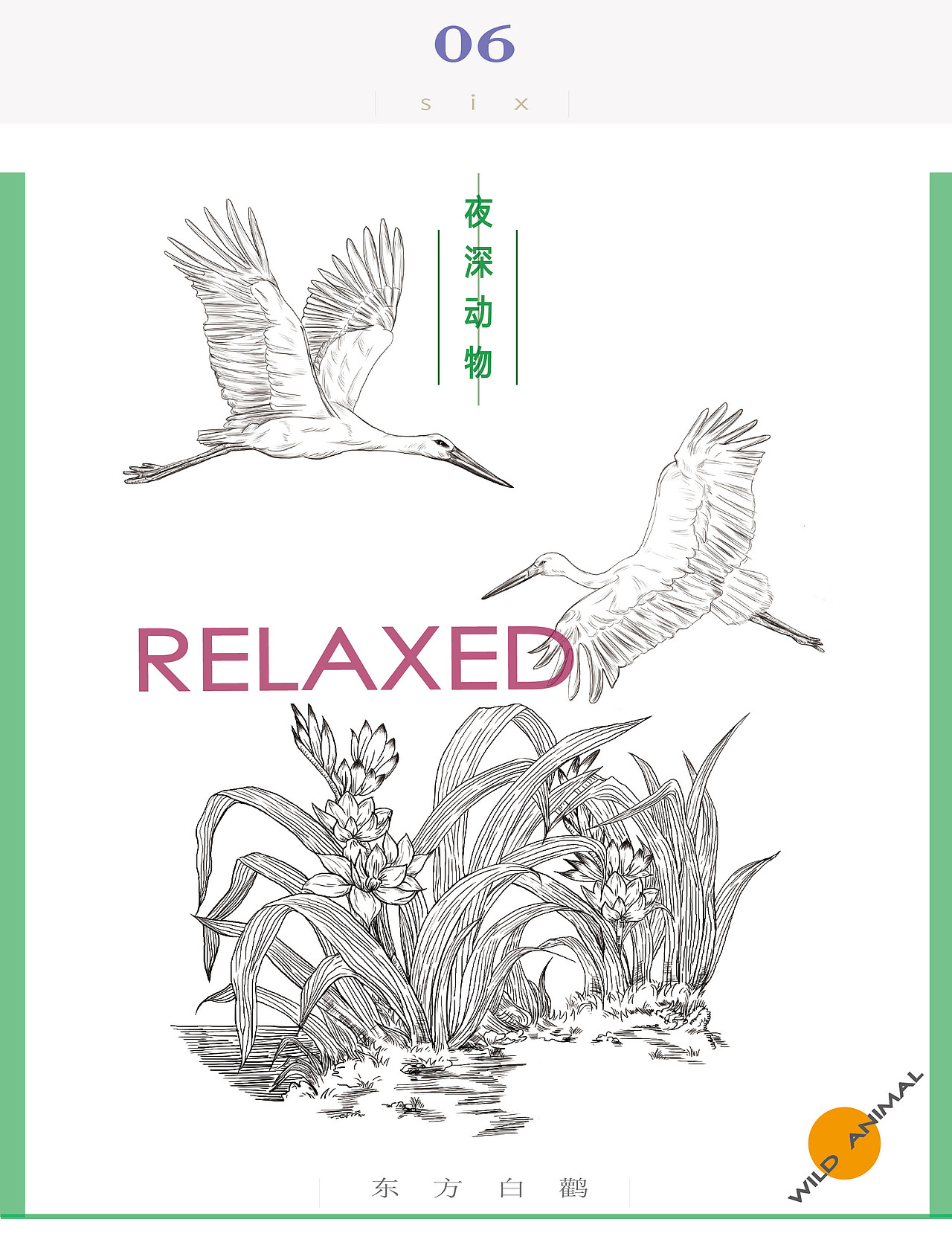 《夜深 动物》（图ZNjAxOTU4NjA=） - 概念设定 - 站酷设计师zeroCC原创素材 - 站酷ZCOOL