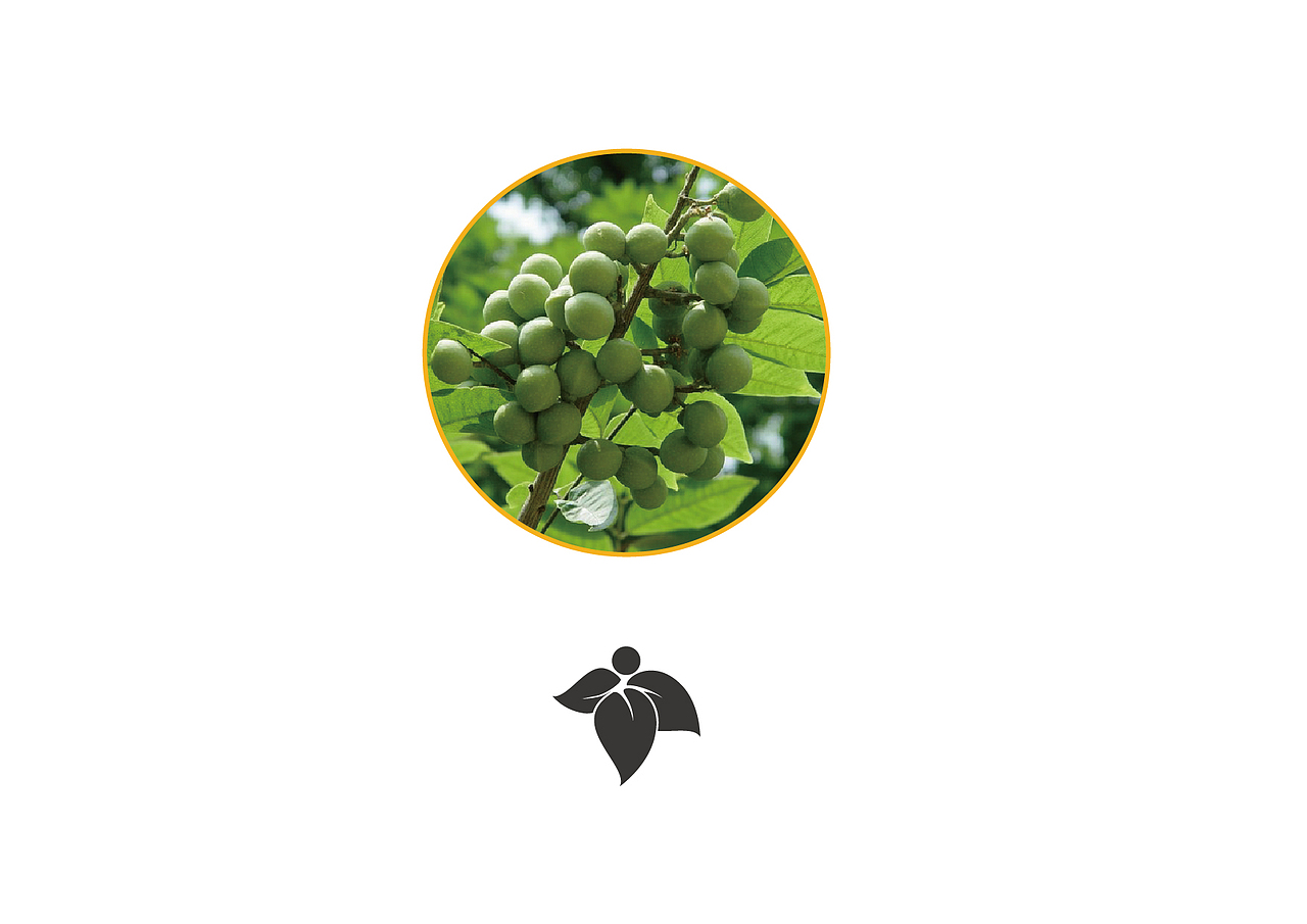 古净茶品牌VI设计（图ZMTEyNDc3NzEy） - 品牌 - 站酷设计师花卷儿HANA原创素材 - 站酷ZCOOL