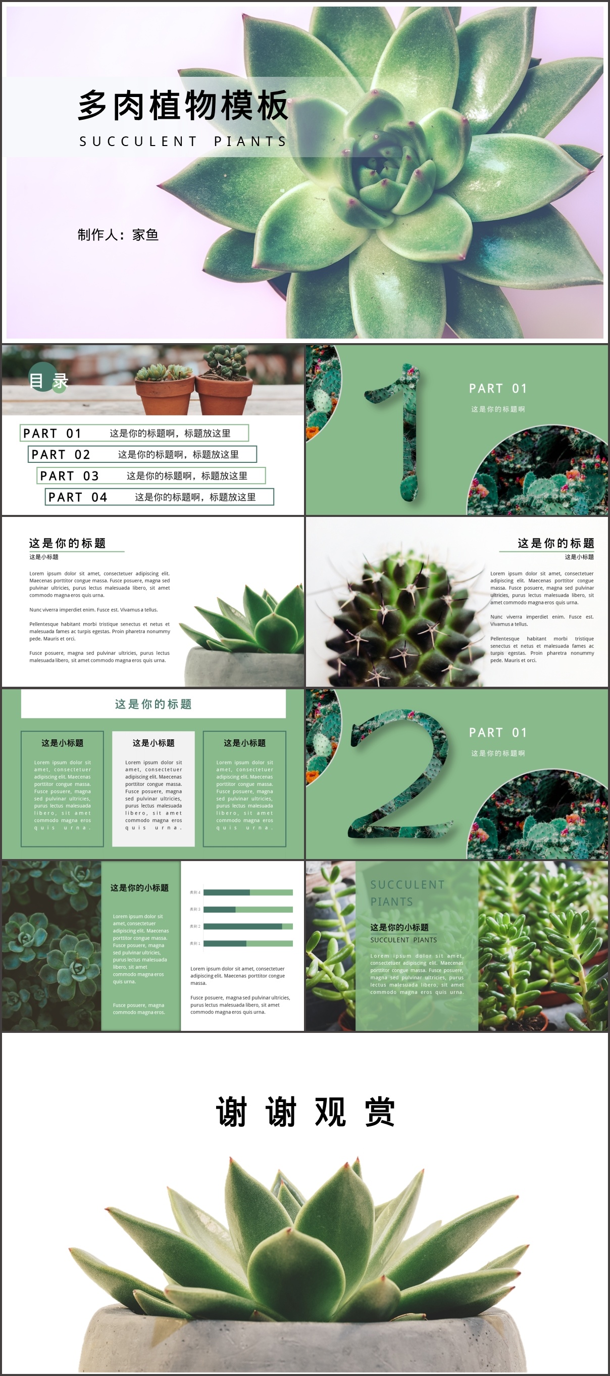 多肉植物ppt模板
