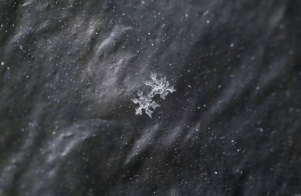 雪花形状冰晶白色积雪摄影图高清摄影大图-千库网