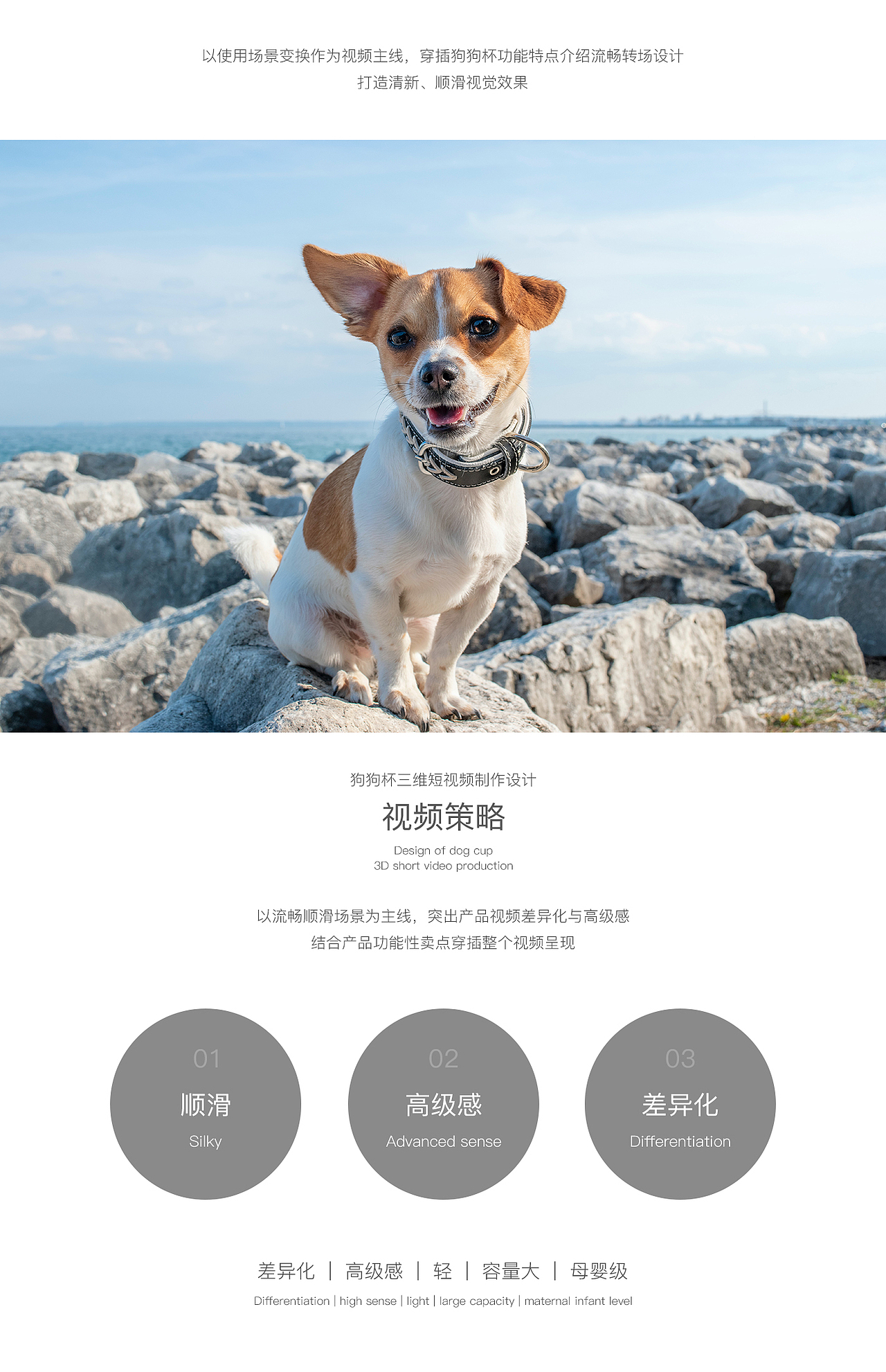 户外狗狗宠物杯子狗狗猫动物三维淘宝短视频设计制作（图ZMjQ4OTYxMzIw） - 动画/影视 - 站酷设计师力正设计原创素材 - 站酷ZCOOL